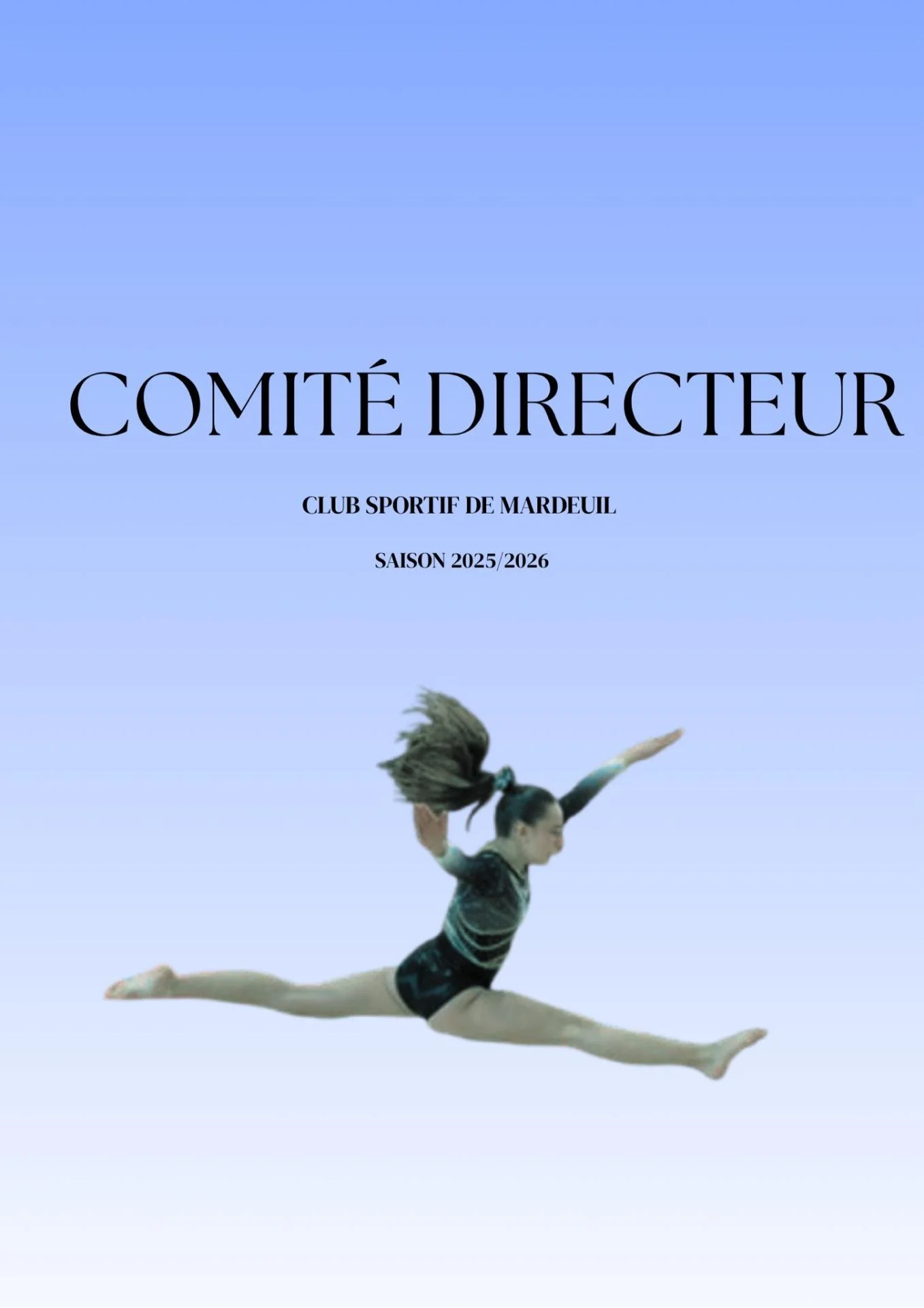 COMITÉ DIRECTEUR